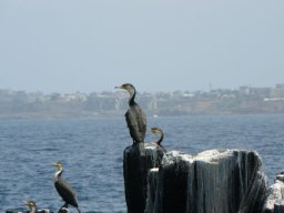 284545_10150265621914901_4305957_n